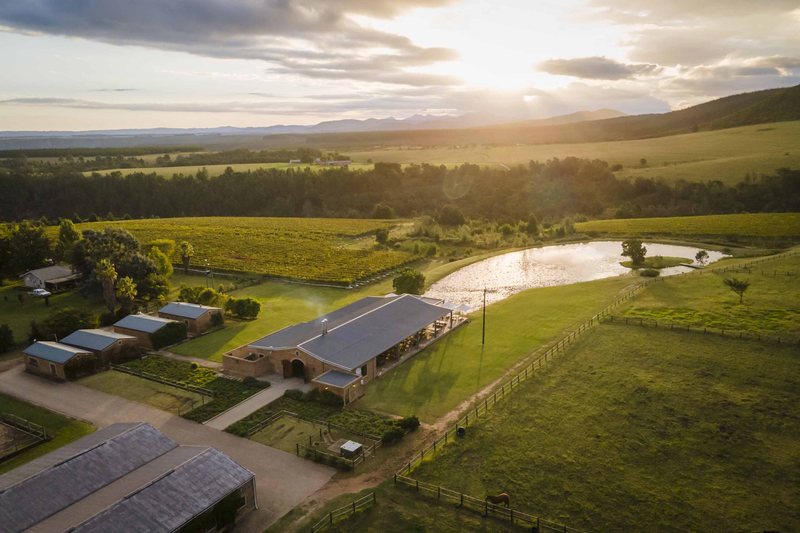 Kay & Monty Vineyards